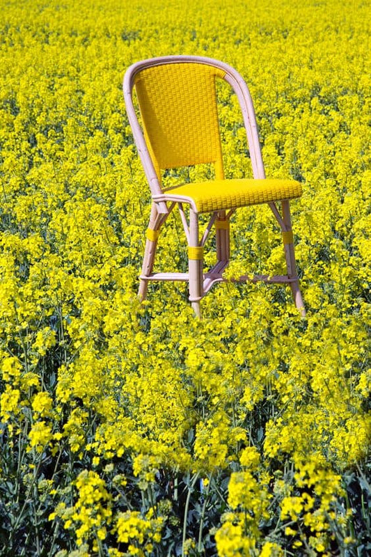 Comment associer les couleurs de rotin avec votre palette de couleurs existante