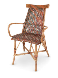 Renoir