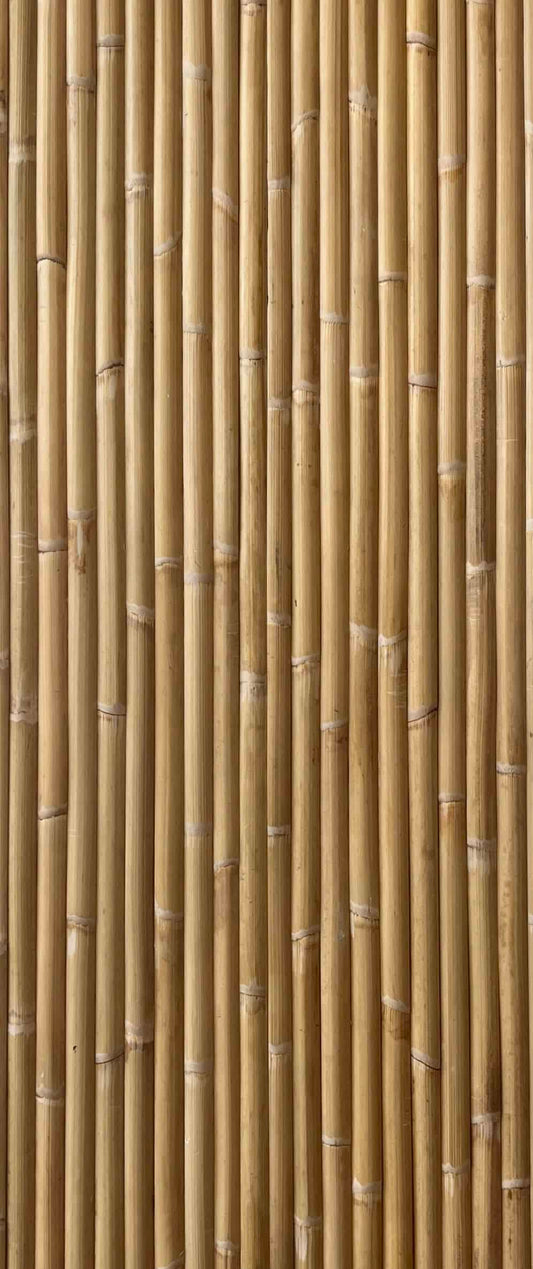 Panneau en canne de rotin