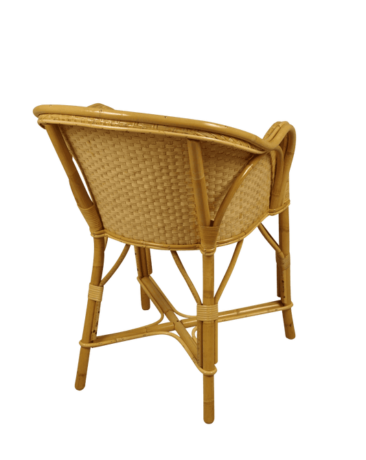 Titanic natural blade