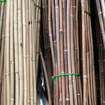 Maison Louis Drucker