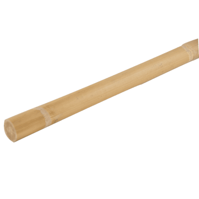 Rotin clair (Manille)