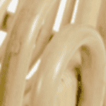 Rotin écorcé - 1 an